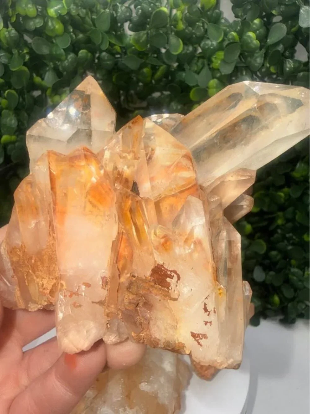 🔥 Golden Healer / Fire Quartz Cluster with Red Hematite Inclusions 🔥